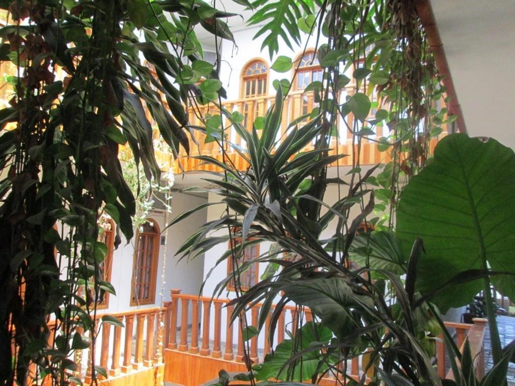 Hotel Guzman Xilitla Exterior foto